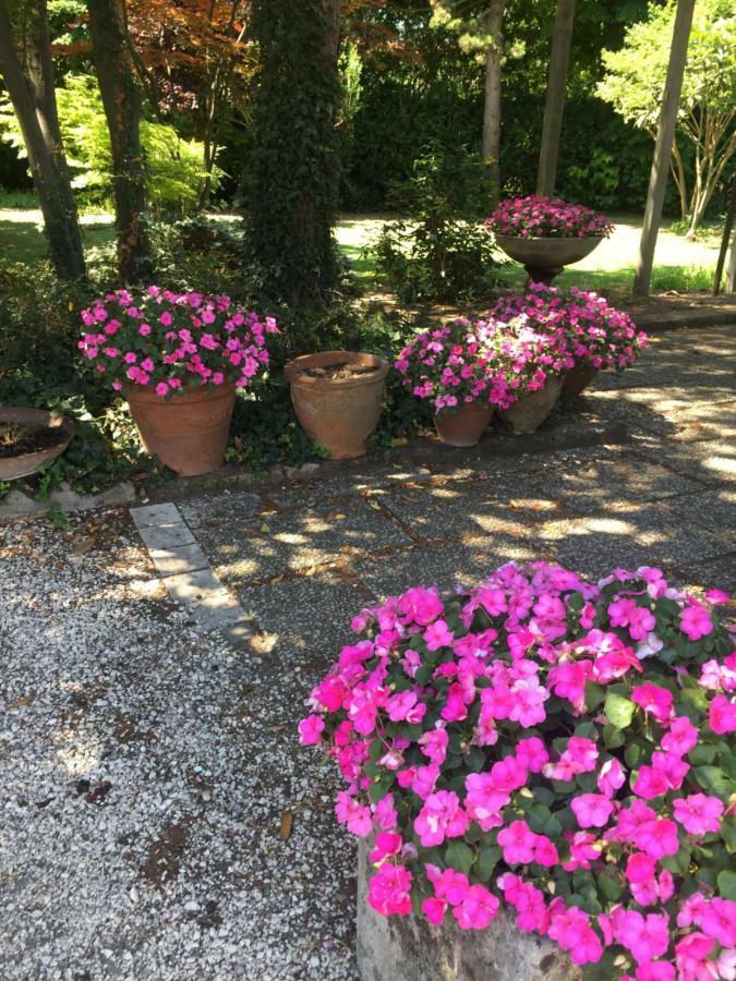 מאנטובה Corte Posta B&B - Parcheggio E Bagno In Camera מראה חיצוני תמונה